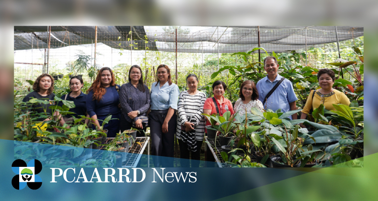 DOST-PCAARRD, NSIC Varietal Improvement Group bolster support to advance ornamental and medicinal plants R&D